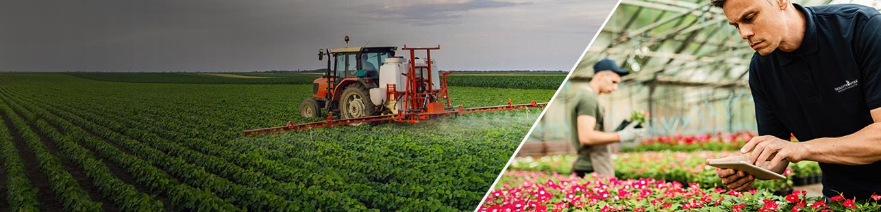 Farm equipment spraying crops with agricultural oil