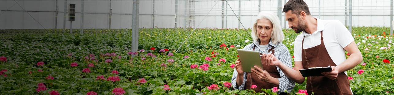 Man and woman working in flower greenhouse
